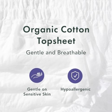 Rael Organic Cotton Disposable Underwear for Women