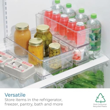 iDesign BPA-Free Plastic Kitchen & Fridge Organizer Bin