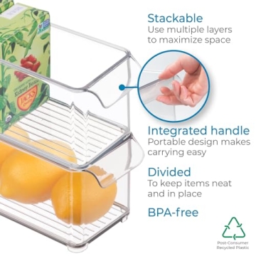 iDesign BPA-Free Plastic Kitchen & Fridge Organizer Bin