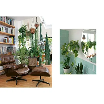 The Plant Rescuer: Essential Guide for Houseplant Care