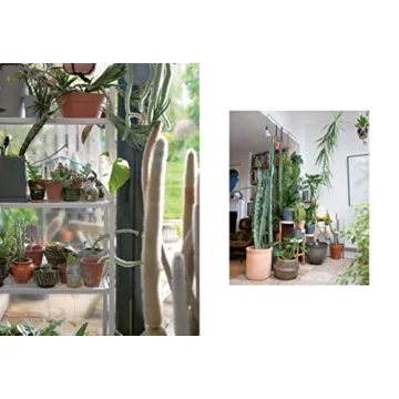 The Plant Rescuer: Essential Guide for Houseplant Care
