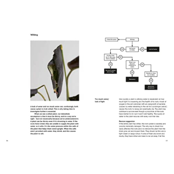 The Plant Rescuer: Essential Guide for Houseplant Care