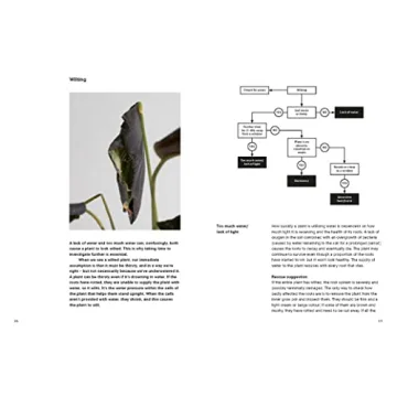 The Plant Rescuer: Essential Guide for Houseplant Care