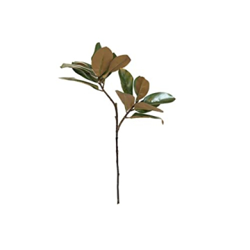 Magnolia Stems by Alice Lane – Elegant Home Decor Bundle