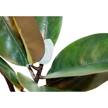 Magnolia Stems by Alice Lane – Elegant Home Decor Bundle