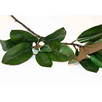 Magnolia Stems by Alice Lane – Elegant Home Decor Bundle