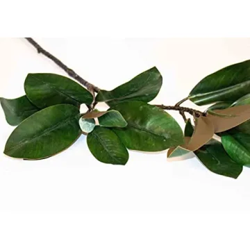 Magnolia Stems by Alice Lane – Elegant Home Decor Bundle