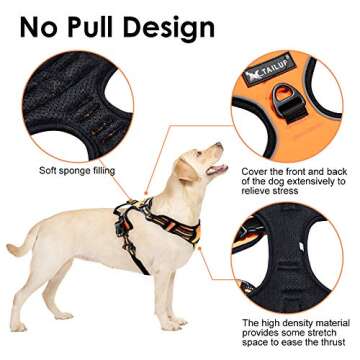Dog Harness by Tailup - Adjustable No-Pull with Mesh Vest, Easy Step-in Adjustable Mesh Harness for Small Medium Large Dog - Walking Hiking and Training Large Orange