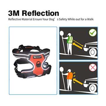 Dog Harness by Tailup - Adjustable No-Pull with Mesh Vest, Easy Step-in Adjustable Mesh Harness for Small Medium Large Dog - Walking Hiking and Training Large Orange