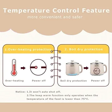 Dezin Electric Pot 1.6L - Compact Multifunctional Cooker