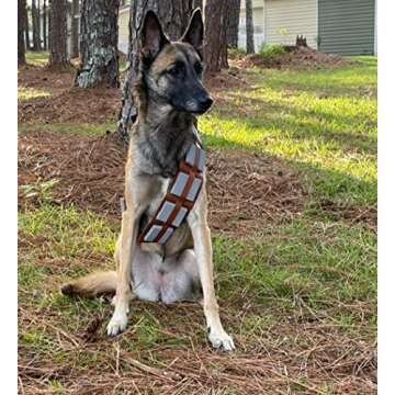 ComfyCamper Utility Belt Dog Halloween Costume Adjustable - X Large Medium Small French Lab Cosplay Christmas 2024, X-Large