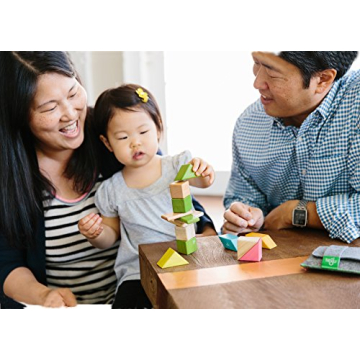 6 Piece Tegu Travel Pal Magnetic Block Set for Kids