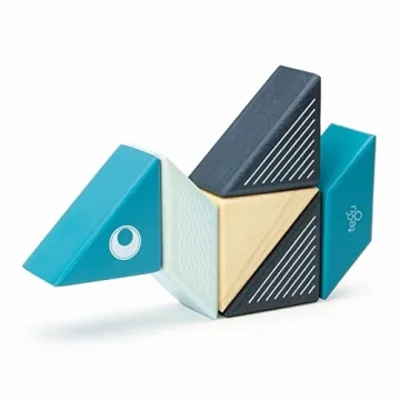 6 Piece Tegu Travel Pal Magnetic Block Set for Kids