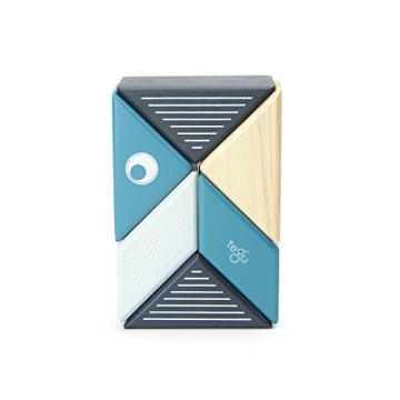 6 Piece Tegu Travel Pal Magnetic Block Set for Kids