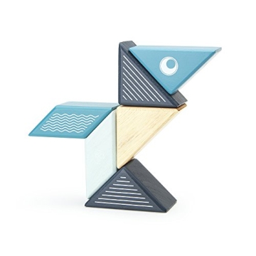 6 Piece Tegu Travel Pal Magnetic Block Set for Kids