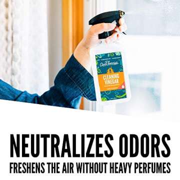 Aunt Fannie's All Purpose Cleaning Vinegar 16.9 Ounces, Multipurpose Surface Spray Cleaner (Sweet Mandarin)