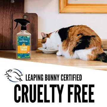 Aunt Fannie's All Purpose Cleaning Vinegar 16.9 Ounces, Multipurpose Surface Spray Cleaner (Sweet Mandarin)