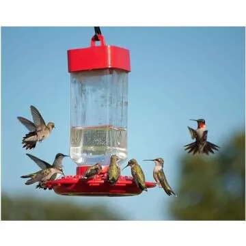 Kaytee Electro Nectar Ready to Use 64oz, yBfAZm 2Pack of 64oz