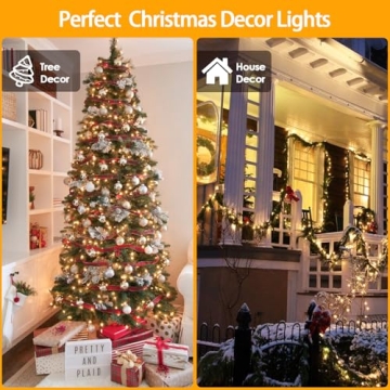Warm White Christmas Lights with 8 Modes and Timer