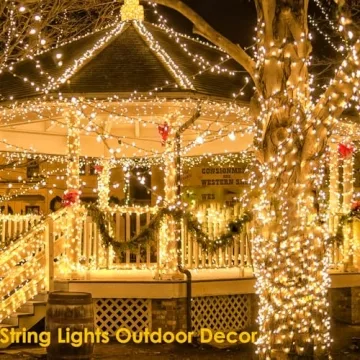 Warm White Christmas Lights with 8 Modes and Timer