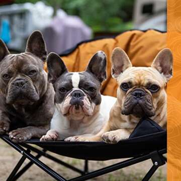 Kuma Outdoor Gear Lazy Bear Dog Bed with Carry Bag, Ultimate Portable Luxury Outdoor Dog Bed for Camping, Glamping & Outdoor Adventures (Sierra/Black)