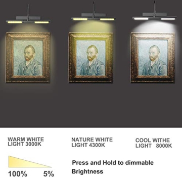 BIGLIGHT Wireless Picture Light for Art Display and Décor