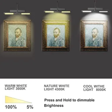 BIGLIGHT Wireless Picture Light for Art Display and Décor