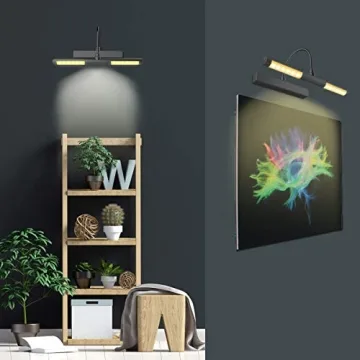 BIGLIGHT Wireless Picture Light for Art Display and Décor
