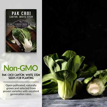 Survival Garden Seeds - Canton White Stem Pak Choi or Bok Choy Seed for Planting - Packet with Instructions to Grow Brassica Rapa Chinensis in Your Home Vegetable Garden - Non-GMO Heirloom Variety