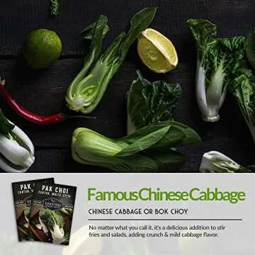 Survival Garden Seeds - Canton White Stem Pak Choi or Bok Choy Seed for Planting - Packet with Instructions to Grow Brassica Rapa Chinensis in Your Home Vegetable Garden - Non-GMO Heirloom Variety