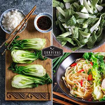 Survival Garden Seeds - Canton White Stem Pak Choi or Bok Choy Seed for Planting - Packet with Instructions to Grow Brassica Rapa Chinensis in Your Home Vegetable Garden - Non-GMO Heirloom Variety