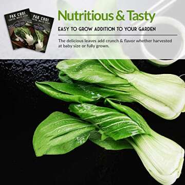 Survival Garden Seeds - Canton White Stem Pak Choi or Bok Choy Seed for Planting - Packet with Instructions to Grow Brassica Rapa Chinensis in Your Home Vegetable Garden - Non-GMO Heirloom Variety