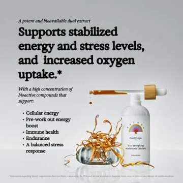Rainbo Cordyceps Mushroom Tincture for Energy Support