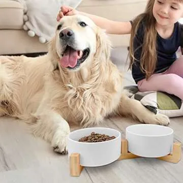 KPWACD Ceramic Dog Bowl Set - Durable & Stylish