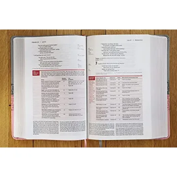 Engaging NIV Life Application Study Bible in Gray/Pink