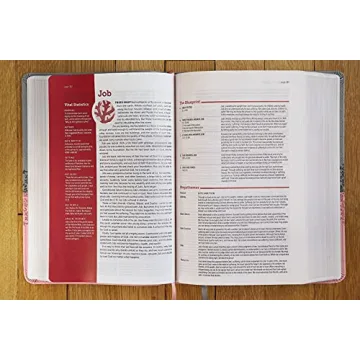 Engaging NIV Life Application Study Bible in Gray/Pink
