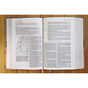 Engaging NIV Life Application Study Bible in Gray/Pink