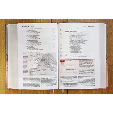 Engaging NIV Life Application Study Bible in Gray/Pink