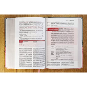 Engaging NIV Life Application Study Bible in Gray/Pink