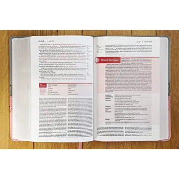 Engaging NIV Life Application Study Bible in Gray/Pink