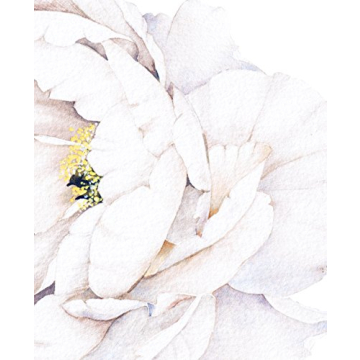 Reusable White Peony Flowers Wall Sticker High Quality