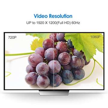 Rankie HDMI to DVI Cable, Male to Male CL3 Rated High Speed Bi-Directional, 6 Feet (Black)