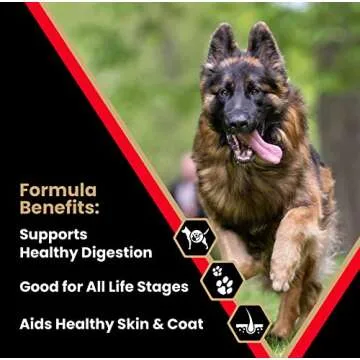 Victor High Energy Dog Food for Active Dogs - Gluten Free