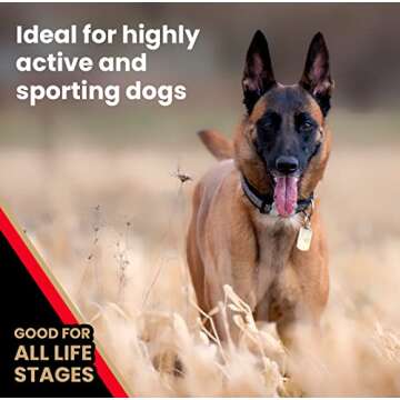 Victor High Energy Dog Food for Active Dogs - Gluten Free