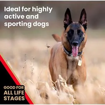 Victor High Energy Dog Food for Active Dogs - Gluten Free