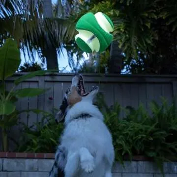 Chuckit! Kick Fetch Max Glow Ball - Glow in the Dark Dog Toy