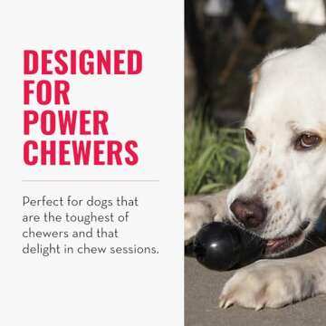 KONG - Extreme Goodie Bone - KONG's Most Durable Natural Rubber Dog Bone for Power Chewers - Black -...