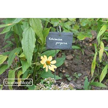 GardenMate 10-Pack Natural Style Slate Plant Labels (4"x 2 3/4") Hanging from a Stainless Steel Metal Rod (22")