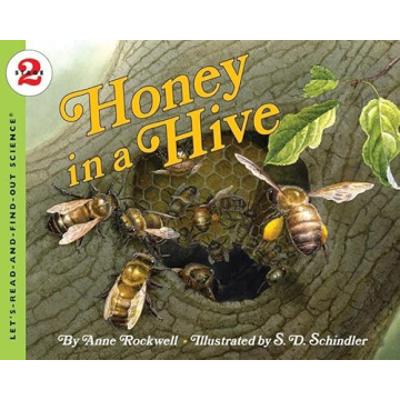 Honey in a Hive: Discover Science of Bees and Honey