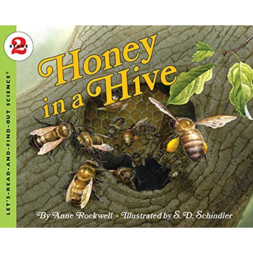 Honey in a Hive: Discover Science of Bees and Honey
